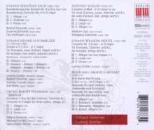 Virtuosi Saxoniae in Concert III, CD