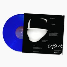 Text: "Squares Will Fall", "Swamp Brains", "Floxotto". Eine blaue Vinyl-Schallplatte neben einem Schwarz-Weiß-Cover mit abstrakter Kunst.