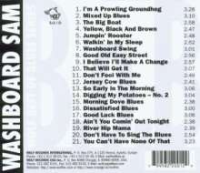 Washboard Sam: Washboard Sam: Best Of Blues Vol.1, CD