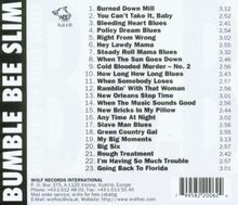Bumble Bee Slim (Amos Easton): Bumble Bee Slim 1934-1937, CD