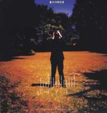Steven Wilson: Insurgentes (180g) (Limited Edition), 2 LPs