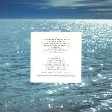 Blackfield  (Steven Wilson): Blackfield V (Limited Edition) (Picture Disc), LP