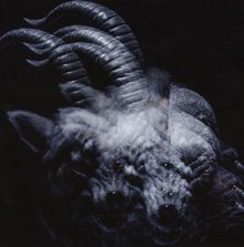 Gazette: Beautiful Deformity, CD