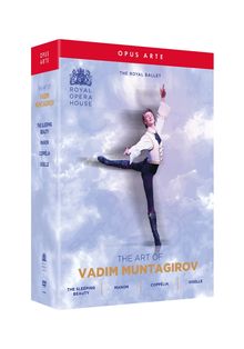 The Art of Vadim Muntagirov, 4 DVDs