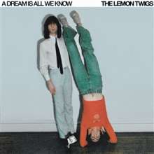 The Lemon Twigs: A DREAM IS ALL WE KNOW (Ice Cream Vinyl), LP
