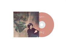 CD-Hülle mit dem Text “Tyoer” und “FKJ”. Darauf ein Mann vor einem gemalten Baum.