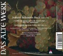 Johann Sebastian Bach (1685-1750): Kantaten BWV 206 &amp; 208, CD