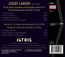 Josef Labor (1842-1924): Klarinettentrio e-moll, CD