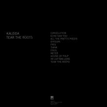 Kaleida: Tear The Roots, LP