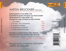 Anton Bruckner (1824-1896): Streichquintett F-Dur für großes Orchester, CD