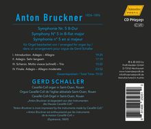 Rückansicht vergrößern