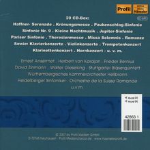 Rückansicht vergrößern