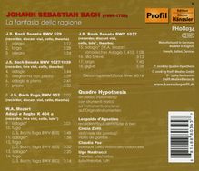 Johann Sebastian Bach (1685-1750): Flötensonaten BWV 529 &amp; 1027/1039,1037, CD