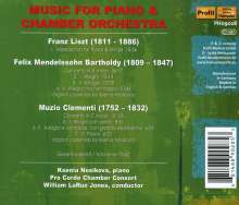 Musik für Klavier &amp; Kammerorchester, CD