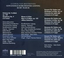 Rückansicht vergrößern