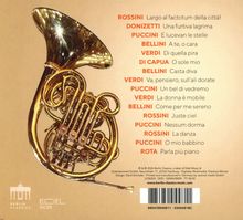 Texte: Namen berühmter Komponisten und Arien, darunter Rossini, Puccini, Verdi. Illustration: Eine glänzende Horninstrument.