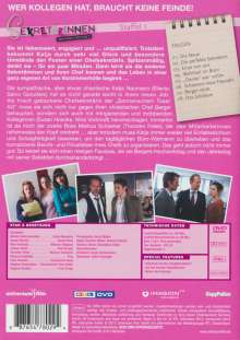 Sekretärinnen Staffel 1, 2 DVDs