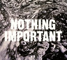 Richard Dawson: Nothing Important, CD