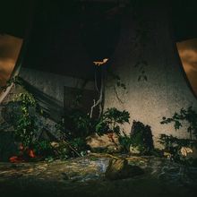 Ein düsterer Raum mit Pflanzen, Wurzeln und Felsen. Eine Wand mit kreisförmiger Öffnung und Licht scheint durch.