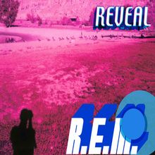 Text "REVEAL" und "R.E.M." in großem Stil. Landschaft in Pinktönen, mit Schatten eines Fotografen und Vögeln am Wasser.