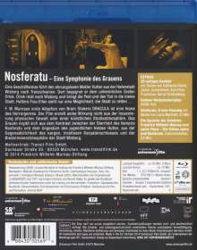 Nosferatu - Eine Symphonie des Grauens (Blu-ray), Blu-ray Disc