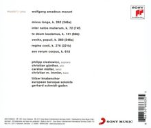 Rückansicht vergrößern