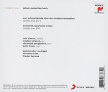 Rückansicht vergrößern