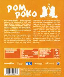 Pom Poko (Blu-ray), Blu-ray Disc