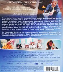 Kedi - Von Katzen und Menschen (Blu-ray), Blu-ray Disc