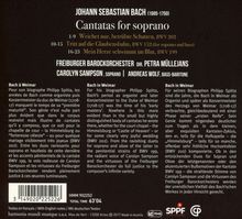 Johann Sebastian Bach (1685-1750): Kantaten BWV 152,199,202, CD