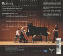 Johannes Brahms (1833-1897): Cellosonaten Nr.1 &amp; 2, CD