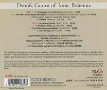 Antonin Dvorak (1841-1904): Symphonie Nr.7, 2 CDs
