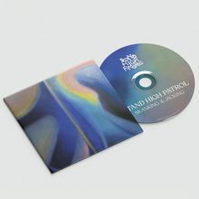 CD: "STAND HIGH PATROL", "SKANKING & JACKING". Hülle und CD tragen ein abstraktes, buntes Design in Blau- und Gelbtönen.