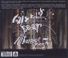 Grizzly Bear: Horn Of Plenty, 2 CDs