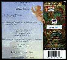 Johann Sebastian Bach (1685-1750): Kantaten BWV 31a &amp; 207, CD