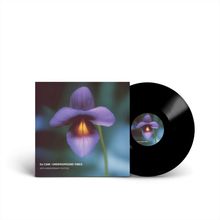 DJ CAM / UNDERGROUND VIBES, 30TH ANNIVERSARY EDITION. Eine Schallplatte mit einem lila-blauen Blumenmotiv.