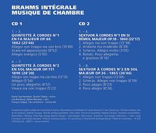 Johannes Brahms (1833-1897): Kammermusik Vol.2, 2 CDs