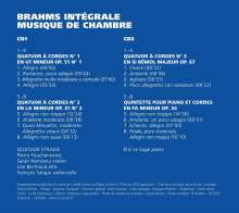 Johannes Brahms (1833-1897): Kammermusik Vol.6, 2 CDs