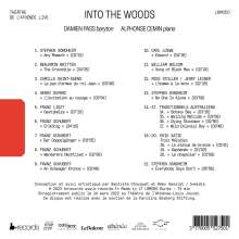 Damien Pass - Into the Woods, CD