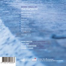 Bruno Angelini: Nearly Nothing, Almost Everything, CD