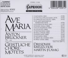 Anton Bruckner (1824-1896): 14 lateinische Motetten, CD