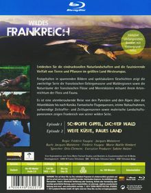 Rückansicht vergrößern
