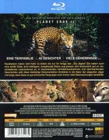 Die Welt der Raubkatzen (Blu-ray), Blu-ray Disc