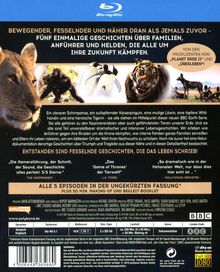 Wilde Dynastien - Die Clans der Tiere (Blu-ray), 2 Blu-ray Discs