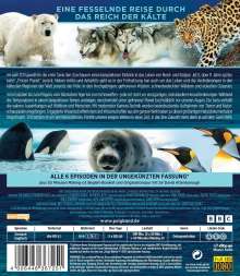 Frozen Planet - Eisige Welten 2: Leben auf dünnem Eis (Blu-ray), 2 Blu-ray Discs