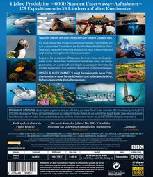 4 Jahre Produktion - 6000 Stunden Unterwasser-Aufnahmen. Entdecken Sie neue Ozeane, faszinierende Orte und unbekannte Verhaltensweisen.