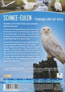 Schnee-Eulen: Schwingen über der Arktis, DVD