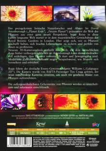 Im Reich der Pflanzen, 2 DVDs