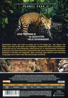 Die Welt der Raubkatzen, DVD