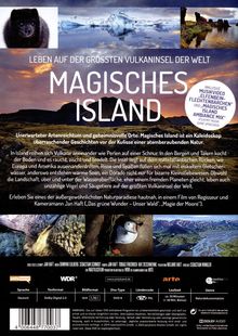 Magisches Island, DVD